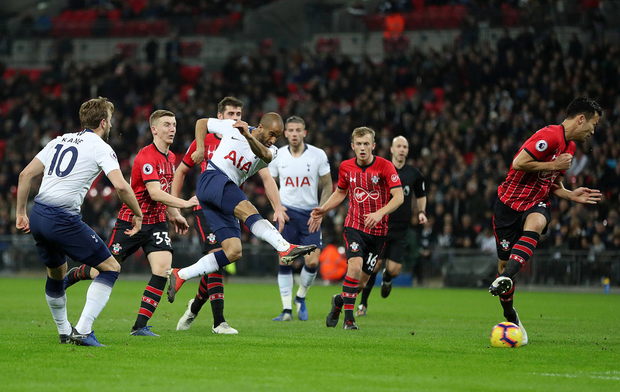 以及两翼科 以及两翼科